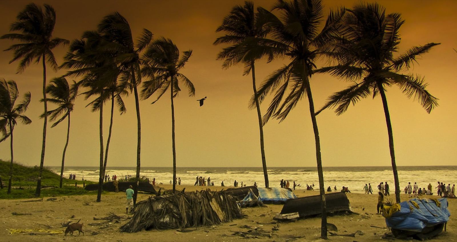 Sunset over a palm-lined Goa beach — representative